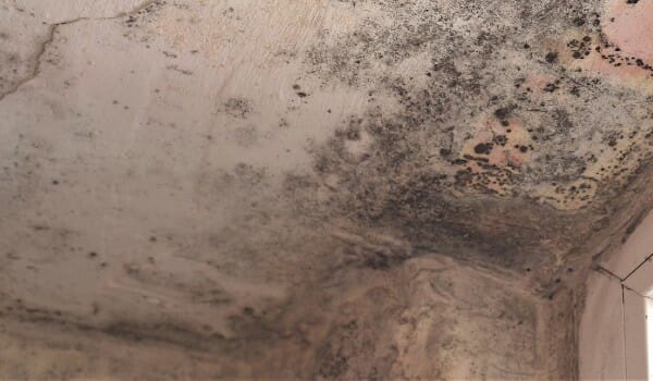 Mold in corner of room in home